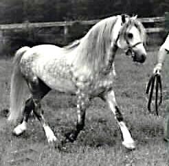 Lithgow Houdini